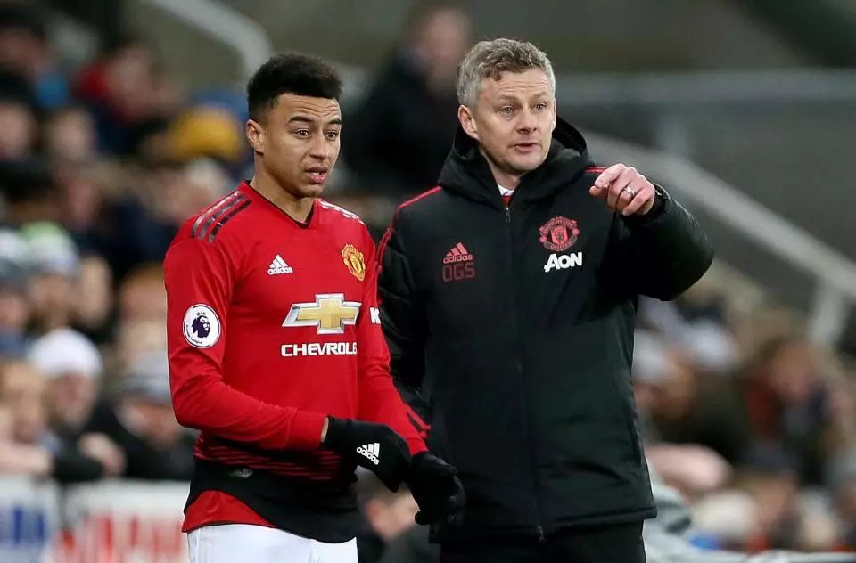 智慧的游戏 智慧的游戏