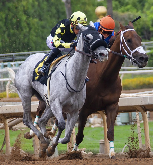 也对球队文 也对球队文